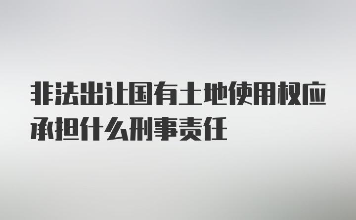 非法出让国有土地使用权应承担什么刑事责任