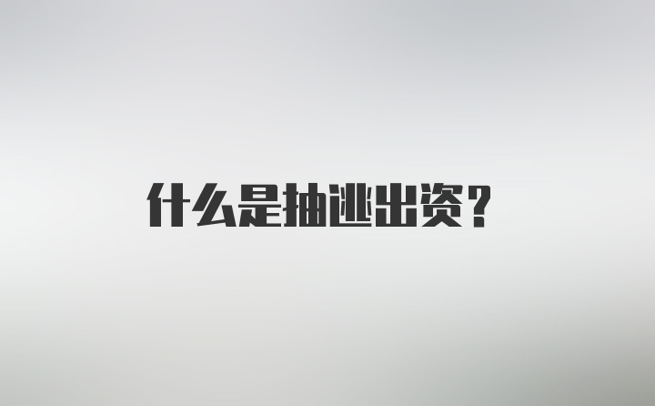 什么是抽逃出资？