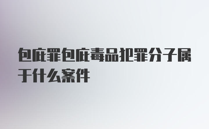 包庇罪包庇毒品犯罪分子属于什么案件