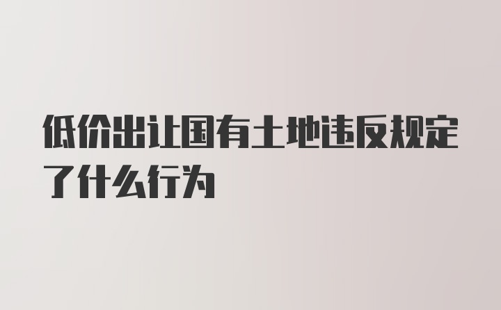 低价出让国有土地违反规定了什么行为