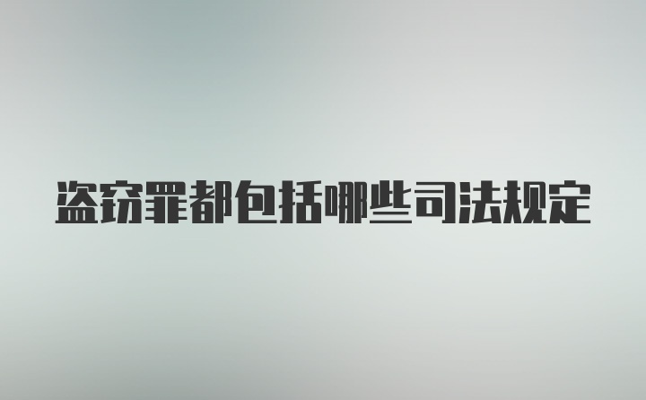 盗窃罪都包括哪些司法规定