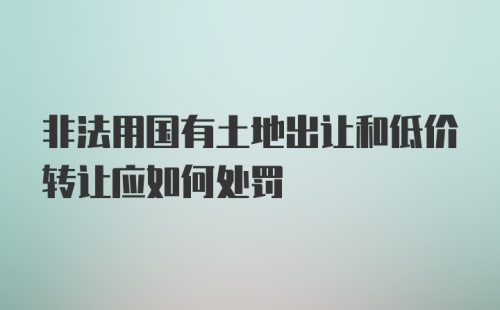 非法用国有土地出让和低价转让应如何处罚