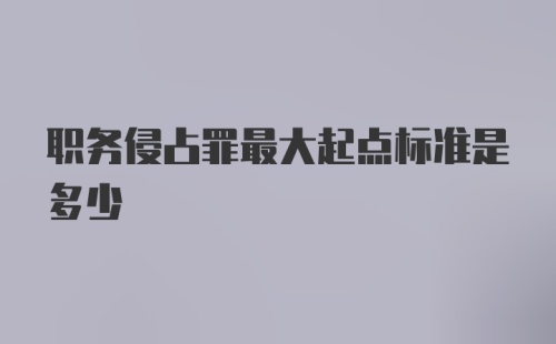 职务侵占罪最大起点标准是多少