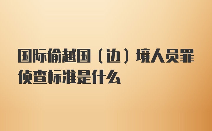 国际偷越国(边)境人员罪侦查标准是什么