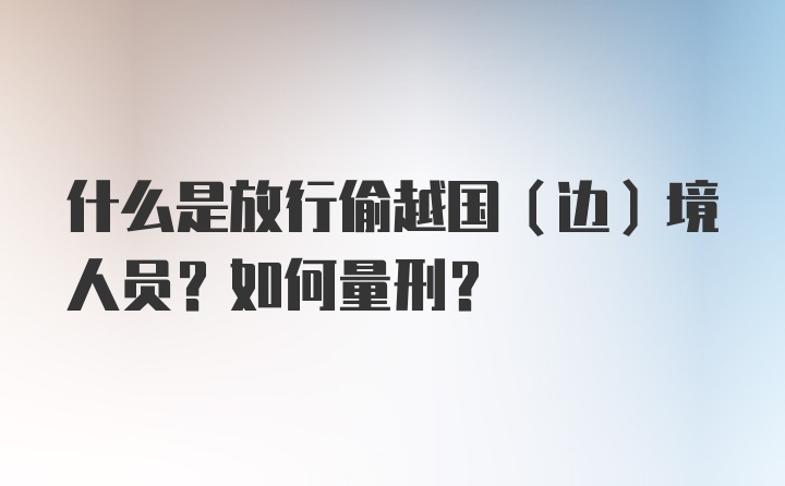 什么是放行偷越国（边）境人员？如何量刑？