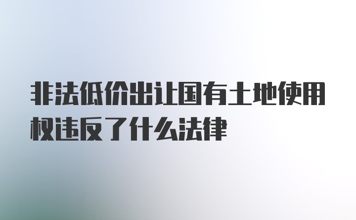 非法低价出让国有土地使用权违反了什么法律