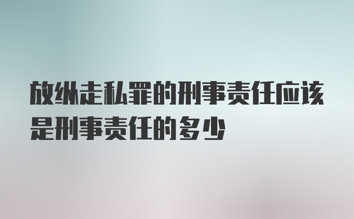 放纵走私罪的刑事责任应该是刑事责任的多少