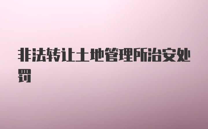 非法转让土地管理所治安处罚