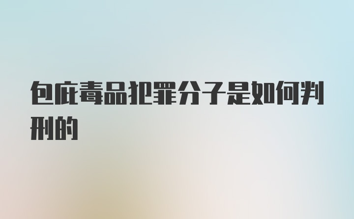 包庇毒品犯罪分子是如何判刑的