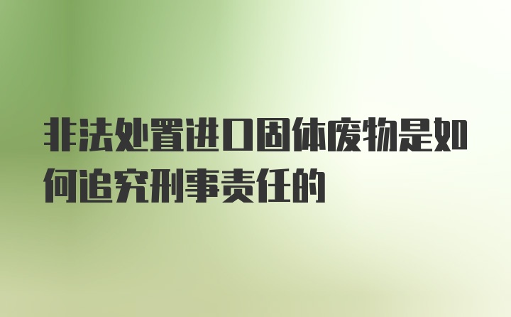 非法处置进口固体废物是如何追究刑事责任的