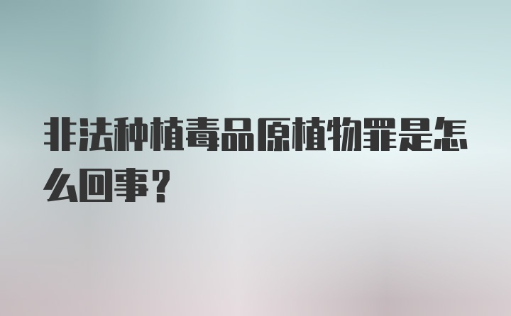 非法种植毒品原植物罪是怎么回事？