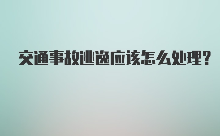 交通事故逃逸应该怎么处理？