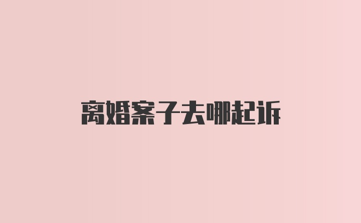 离婚案子去哪起诉