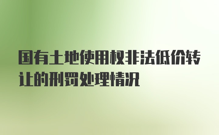 国有土地使用权非法低价转让的刑罚处理情况