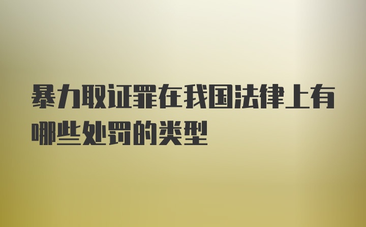 暴力取证罪在我国法律上有哪些处罚的类型