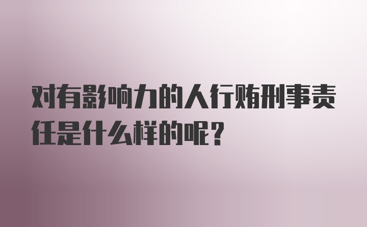 对有影响力的人行贿刑事责任是什么样的呢？