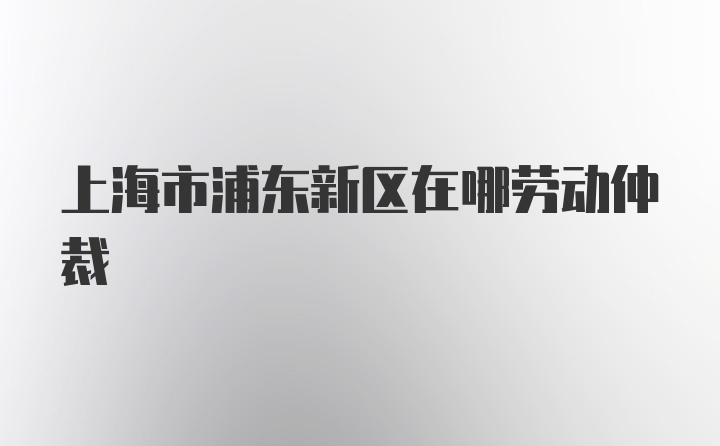 上海市浦东新区在哪劳动仲裁