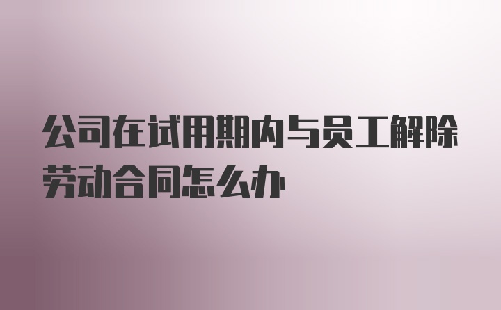 公司在试用期内与员工解除劳动合同怎么办