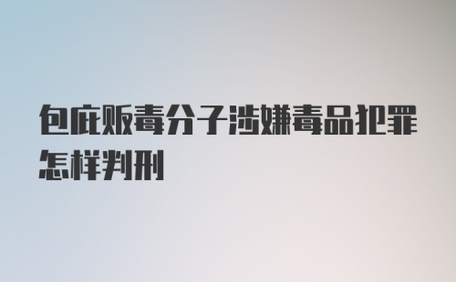 包庇贩毒分子涉嫌毒品犯罪怎样判刑