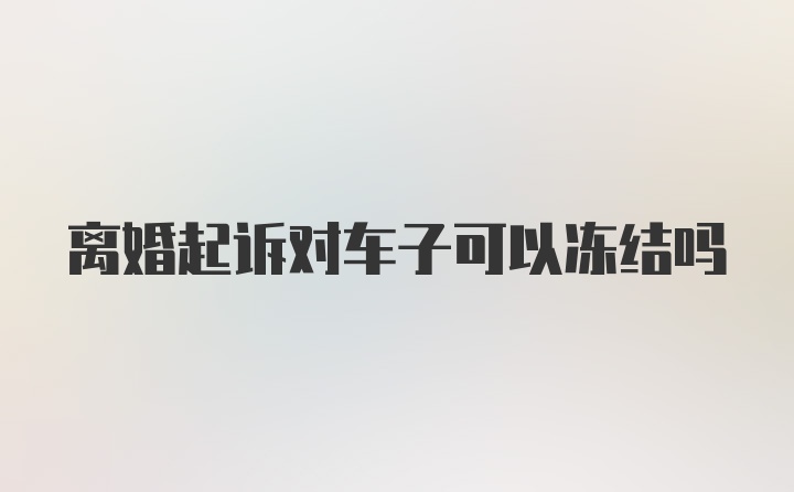 离婚起诉对车子可以冻结吗