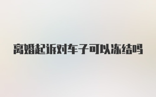 离婚起诉对车子可以冻结吗