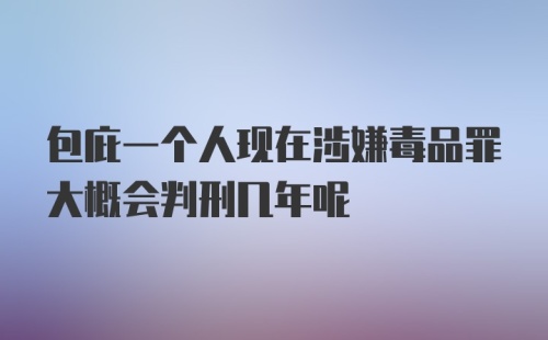 包庇一个人现在涉嫌毒品罪大概会判刑几年呢