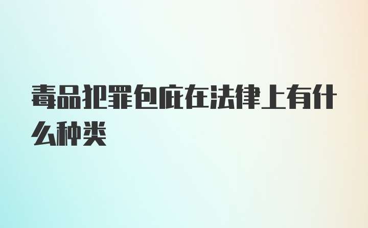 毒品犯罪包庇在法律上有什么种类