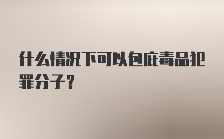 什么情况下可以包庇毒品犯罪分子？