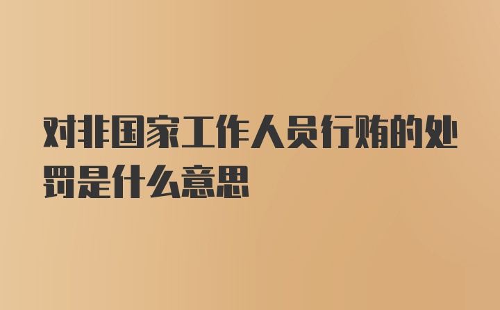 对非国家工作人员行贿的处罚是什么意思