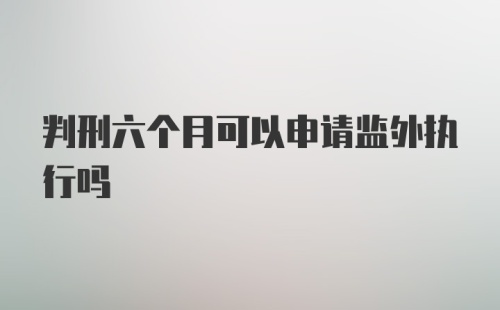 判刑六个月可以申请监外执行吗