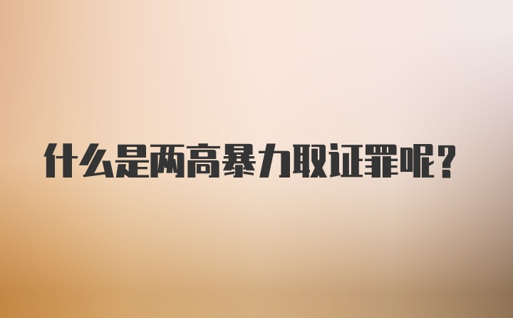 什么是两高暴力取证罪呢？