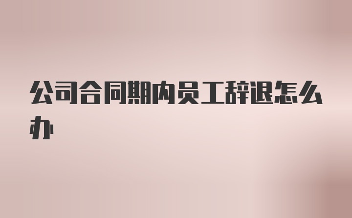 公司合同期内员工辞退怎么办