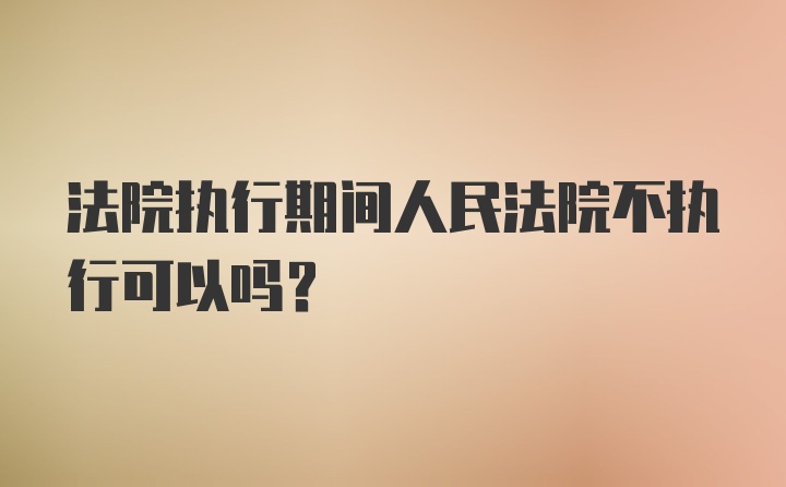 法院执行期间人民法院不执行可以吗?