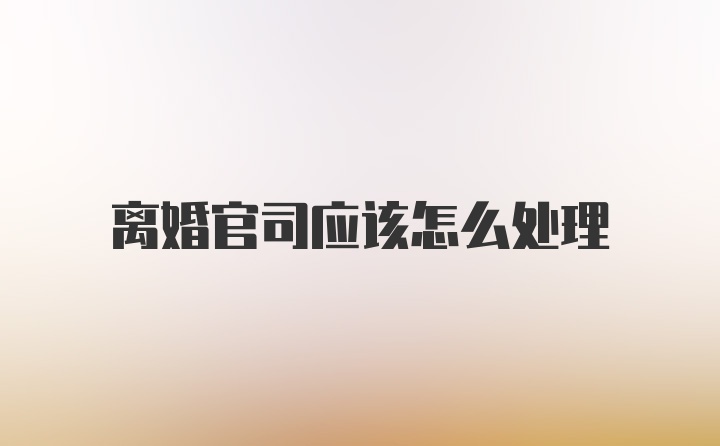 离婚官司应该怎么处理