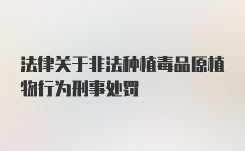 法律关于非法种植毒品原植物行为刑事处罚