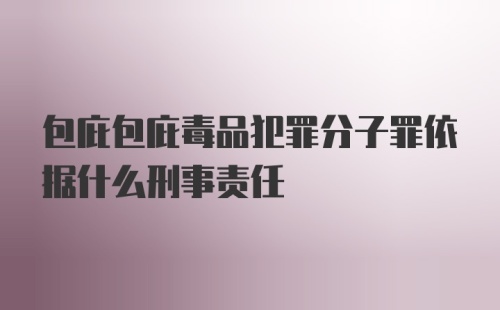 包庇包庇毒品犯罪分子罪依据什么刑事责任