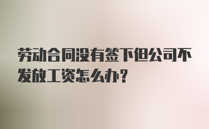 劳动合同没有签下但公司不发放工资怎么办？