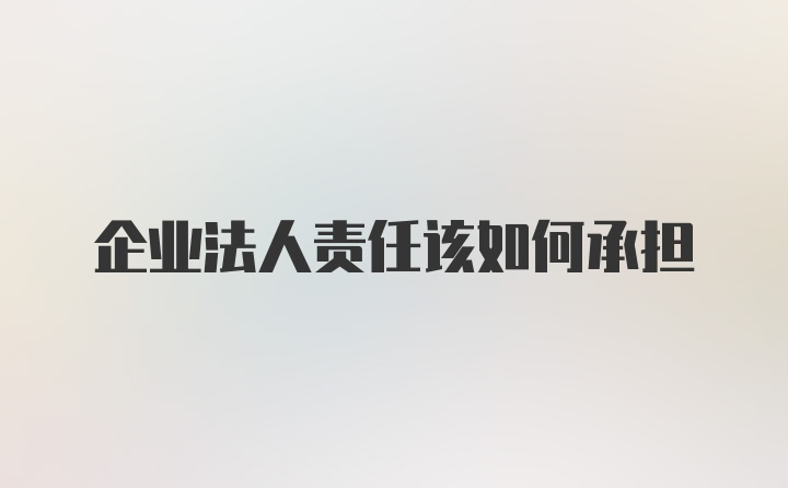 企业法人责任该如何承担