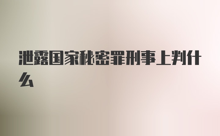 泄露国家秘密罪刑事上判什么