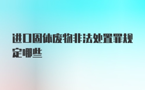 进口固体废物非法处置罪规定哪些