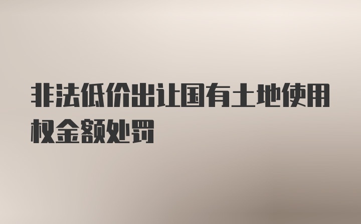 非法低价出让国有土地使用权金额处罚