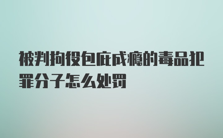 被判拘役包庇成瘾的毒品犯罪分子怎么处罚