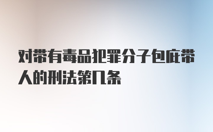 对带有毒品犯罪分子包庇带人的刑法第几条