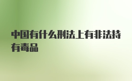 中国有什么刑法上有非法持有毒品