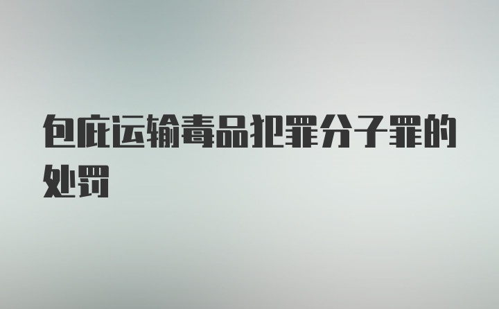 包庇运输毒品犯罪分子罪的处罚