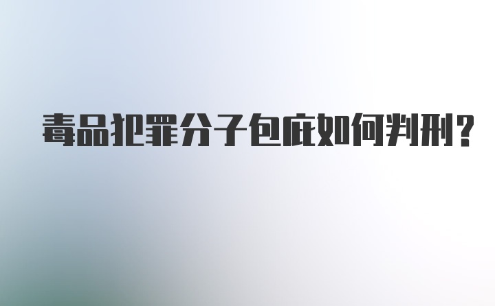 毒品犯罪分子包庇如何判刑？