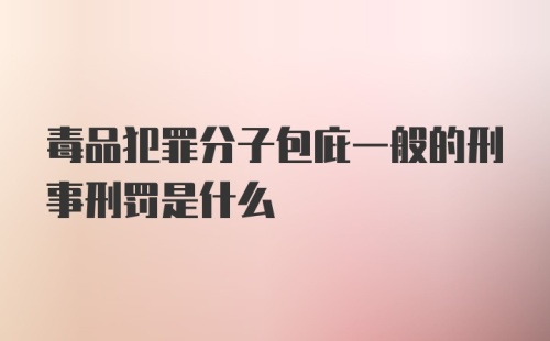 毒品犯罪分子包庇一般的刑事刑罚是什么