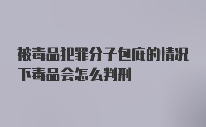 被毒品犯罪分子包庇的情况下毒品会怎么判刑