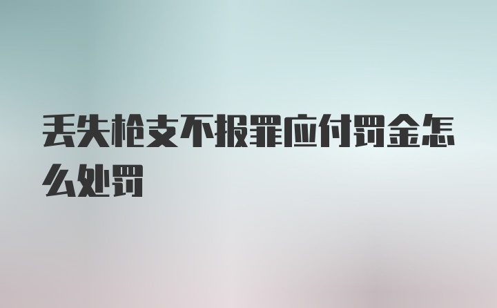 丢失枪支不报罪应付罚金怎么处罚