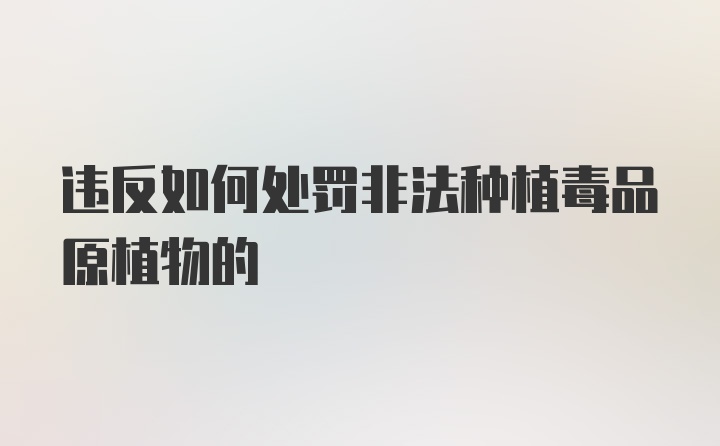 违反如何处罚非法种植毒品原植物的